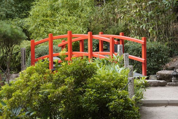 Comment réussir une transition de carrière vers la fabrication artisanale de bières bio ?