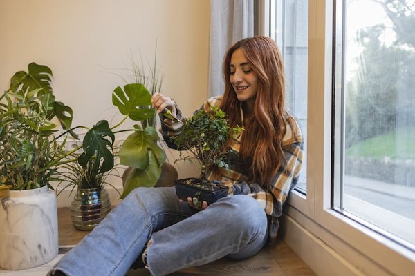 Comment réussir la culture de votre premier bonsaï ?