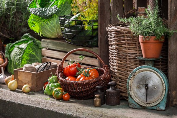 Quels sont les secrets pour réussir un festival de théâtre de marionnettes mettant en scène des contes de différentes cultures ?